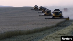FILE - Combine harvesters work on a wheat field of the Solgonskoye farming company near the village of Talniki, southwest from Siberian city of Krasnoyarsk, Russia, Aug. 27, 2015. Russia is one of the world's top wheat exporters.
