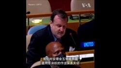 联合国大会就审议五常行使否决权通过决议