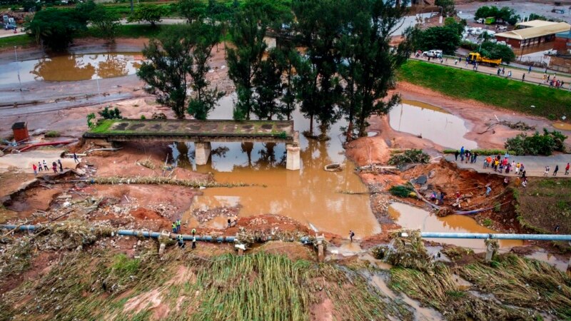 African Wildlife, Coasts Suffer Effects of Flooding, Drought