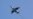 Turkey Closes Airspace to Russian Planes Flying to Syria