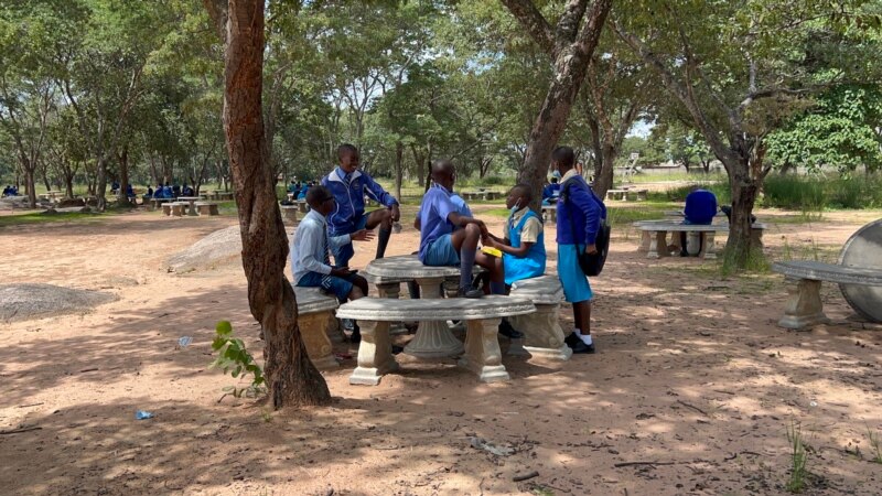 UNICEF: Nearly 50% of Zimbabwean Youth Not in School
