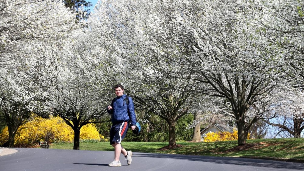 Invasive Fruit Tree Reported Across the US - Vimarsana News