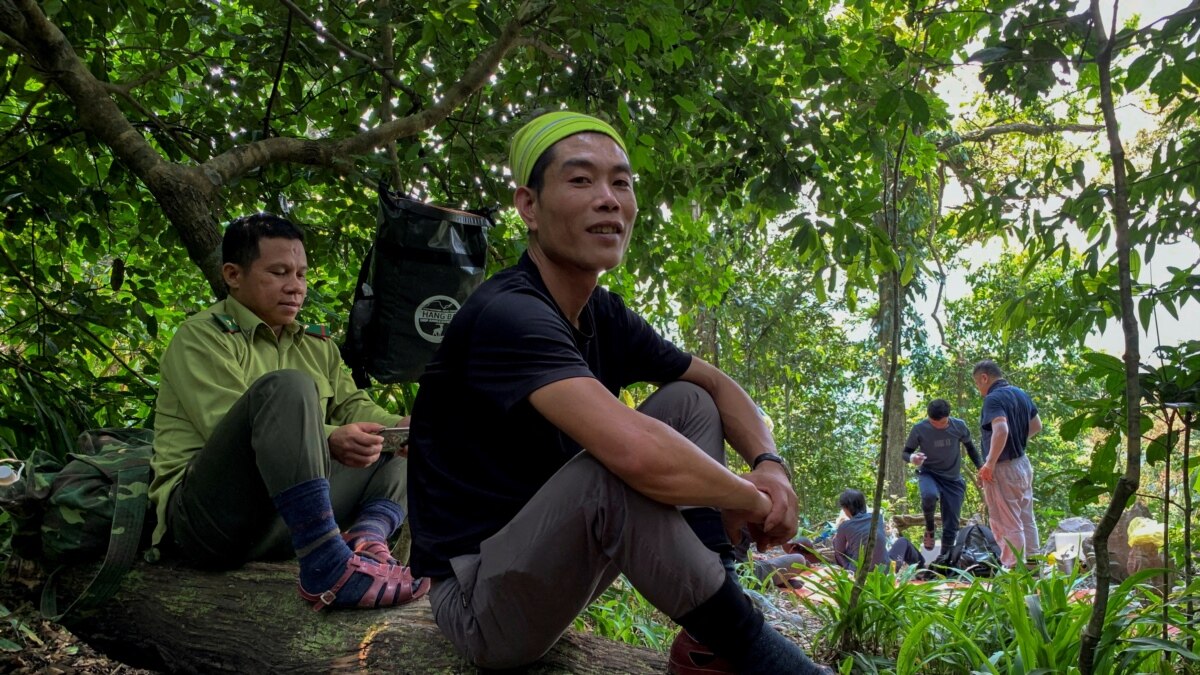 Illegal Loggers in Vietnam Train As Jungle Tour Guides