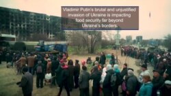 Impact of Putin's War on Global Food Security