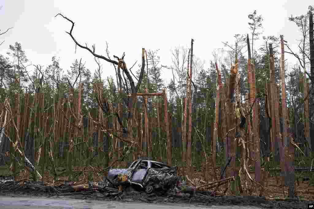 The remains of a car sits in front of damaged trees following a battle between Russia and Ukrainian forces on the outskirts of Chernihiv, Ukraine. (AP Photo/Petros Giannakouris)