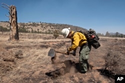 A member of the Arizona Department of Forestry and Fire Management Phoenix Crew dig at burning roots as another crew member searches for smoke in Division Alpha of the Tunnel Fire while looking for hot spots near Flagstaff, Ariz., April 21, 2022.