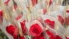 Las rosas son uno de los elementos protagonistas del Día de Sant Jordi. Como marca la tradición, los enamorados se regalan una rosa y un libro.&nbsp;