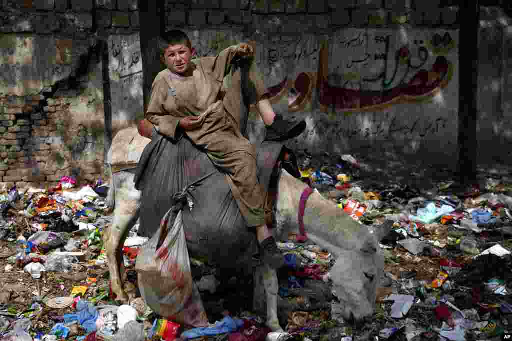 An Afghan child sits on his donkey in Kabul.