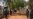 Amnesty International Calls for End to Sectarian Attacks in Northern Nigeria