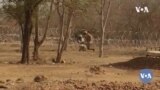 Lakana Baliya Burkina Burkina Fasso Jamana Kan 04 25 22.mp4