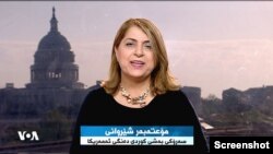 Motabar Şêrwanî seroka pişka Kurdî ya Dengê Amerîka