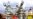 US, EU Warn Against Giving In to Russian ‘Gas Blackmail’