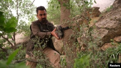 The Struggle to Save Iraq's Last Persian Leopards The Struggle to Save Iraq's Last Persian Leopards