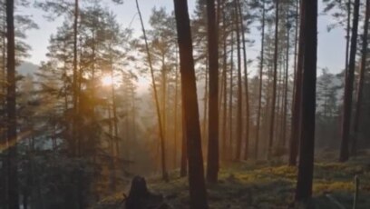 Se acorta el tiempo para revertir la crisis climática