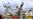 EU to Meet on Energy, Preparing New Russia Sanctions