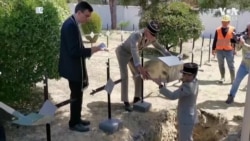 107 Yıl Sonra Gelibolu'da Fransız Askerlerin Naaşları Bulundu 