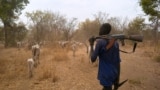 FILE - An armed cattle keeper walks with his cows during a seasonal migration of cattle for grazing near Tonj, South Sudan. Taken Feb. 16, 2020.