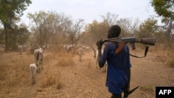 FILE - An armed cattle keeper walks with his cows during a seasonal migration of cattle for grazing near Tonj, South Sudan. Taken Feb. 16, 2020.