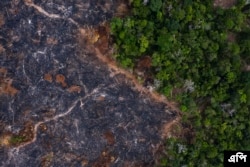 In this Nov. 23, 2019 photo, a burned area of the Amazon rainforest is seen in Prainha, Para state, Brazil. Official data show Amazon deforestation rose almost 30% in the 12 months through July, to its worst level in 11 years. Para state alone accounted for 40% of the loss. (AP Photo/Leo Correa)
