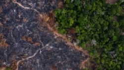 Huíla: Ambientalistas querem medidas duras contra desflorestação – 2:53