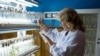 درخواست سازمان بهداشت جهانی برای از بین بردن عوامل بیماری‌زا در آزمایشگاه‌های اوکراین