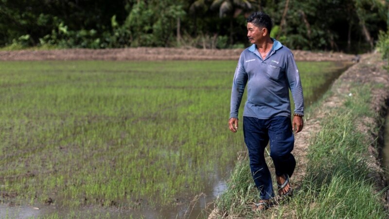 How Dams Starve the Mekong River