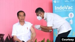 Presiden Jokowi menerima booster COVID-19 kedua atau dosis ke-4 menggunakan vaksin IndoVac buatan Pt Bio Farma, di Istana Kepresidenan Bogor, Jawa Barat, Kamis (24/11) (Biro Setpres)