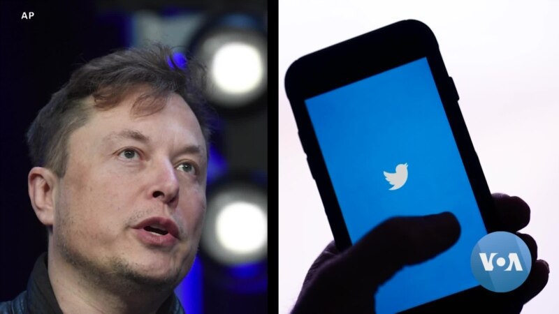 Will Elon Musk Save or Destroy Twitter?