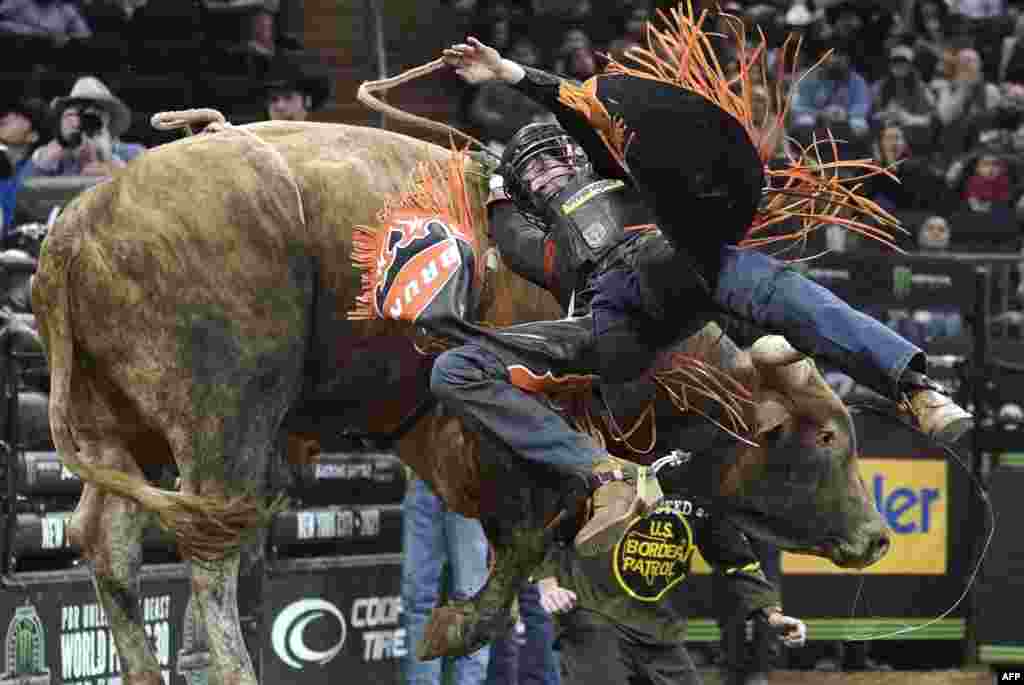 Casey Roberts of the U.S. rides &quot;Dan&#39;s Post Night Moves&quot; during Round 3 of the 2023 PBR Unleash the Beast Monster Energy Buck Off at the Madison Square Garden, New York, Jan. 8, 2023.