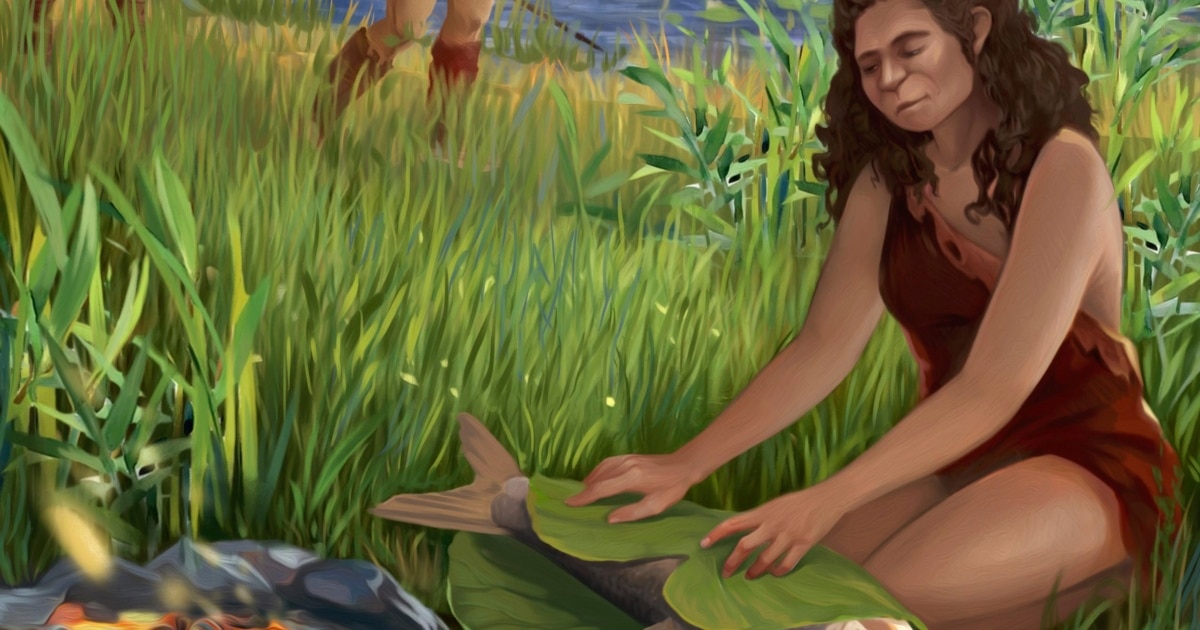 Wjo Invented Cooking Study Finds Earliest Evidence of Cooking