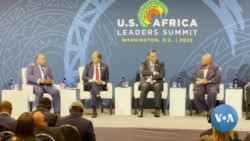 Cimeira EUA-África: Filipe Nyusi defende soluções africanas para problemas africanos em painel sobre paz e segurança