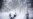 Arctic Blast Sweeps US, Causes Bomb Cyclone