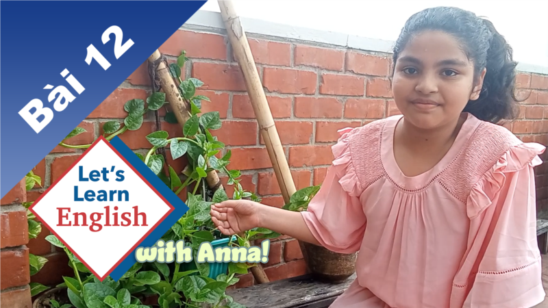 Bài 12: Vườn cây được trồng như thế nào?