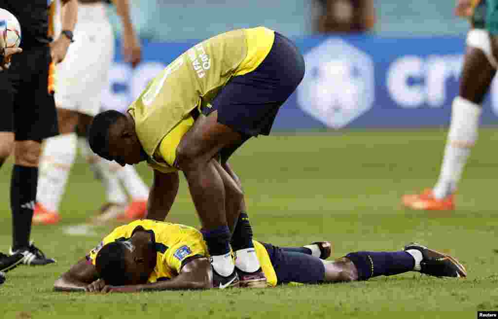 Moisés Caicedo, de Ecuador, abatido después del partido ante Senegal, cuando su equipo fue eliminado de la Copa del Mundo, el 29 de noviembre de 2022.