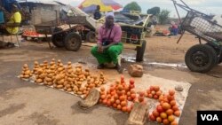 Bathwele nzima abantu kwele ZImbabwe kulandela ukugugudeka kwedollar lelizwe, (Columbus Mavhunga/VOA) 