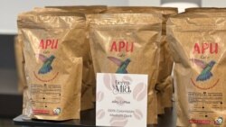 A través de Tierra Mía, las migrantes compran el café al campesino completamente terminado y lo envían a EEUU. [Foto: Archivo]