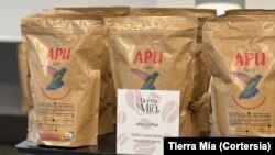 A través de Tierra Mía, las migrantes compran el café al campesino completamente terminado y lo envían a EEUU. [Foto: Archivo]