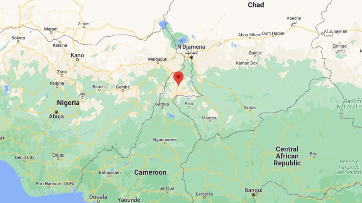 Cameroon Struggling to Rein In Arms Smuggling From Chad, Nigeria