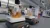 Fight to Curb Food Waste Increasingly Turns to Science