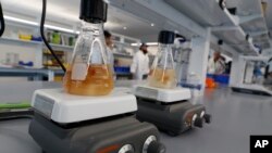 FILE - Flasks containing pieces of fruit swirl in flasks on June, 28, 2022, at Hazel Technologies headquarters in Chicago.