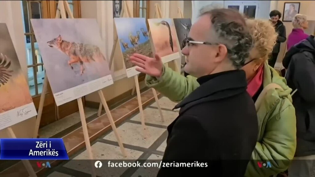 Apel përmes fotografive për mbrojtjen e shpendëve dhe kafshëve të rrezikuara