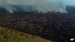 Asap mengepul dari kebakaran hutan di kawasan jalan raya Transamazonica, di kotamadya Labrea, negara bagian Amazonas, Brasil, 17 September 2022. (AP Photo/Edmar Barros)