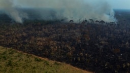Asap mengepul dari kebakaran hutan di kawasan jalan raya Transamazonica, di kotamadya Labrea, negara bagian Amazonas, Brasil, 17 September 2022. (AP Photo/Edmar Barros)