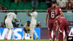 Senegal players in the background celebrate their 3-1 win as Qatar players show their disappointment after their World Cup group A soccer match at the Al Thumama Stadium in Doha, Qatar, Nov. 25, 2022.