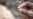 Senegal's Women Gold Miners Carry Heavy Burden