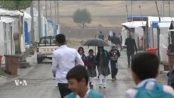 بەرنامەی کورد کۆنێکشن 8ی مانگی یەکی 2023