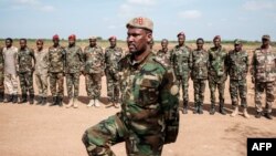 La 66e division de la 8e brigade de l'armée nationale somalienne saluant le major Mohamed Nor Madhere à l'aéroport de Baidoa à Baidoa, en Somalie, le 9 novembre 2022. (Photo par GUY PETERSON / AFP)