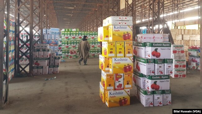 Temporary storage of apples at Srinagar mandi at Parimpora, north-west of Srinagar City- 6 Kms away from Lal Chowk Srinagar.