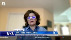 Murzaku: Diaspora ka rol të rëndësishëm në çështjet mbarëshqiptare