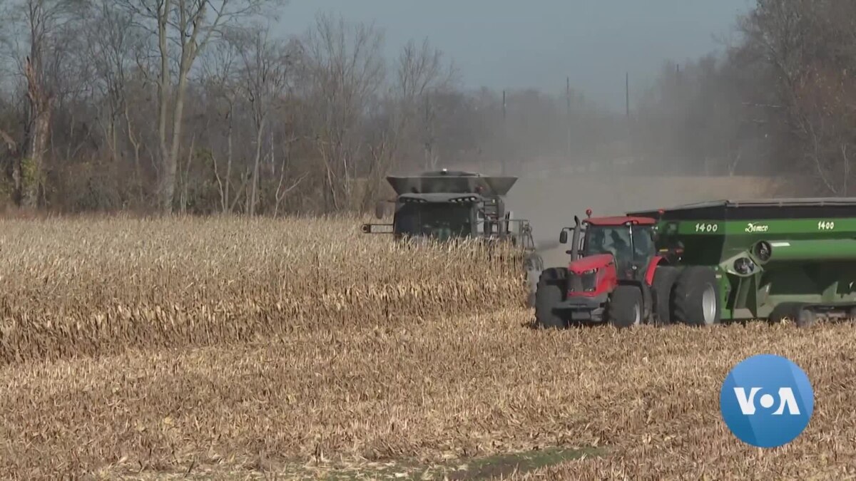 Farmers in Illinois Turn to Environmentally Friendly "Carbon Farming”